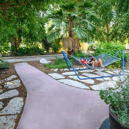 Jordan Valley Birding Lodge Kefar Ruppin Dış mekan fotoğraf