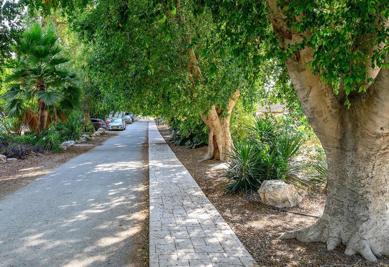 Jordan Valley Birding Lodge Kefar Ruppin Dış mekan fotoğraf