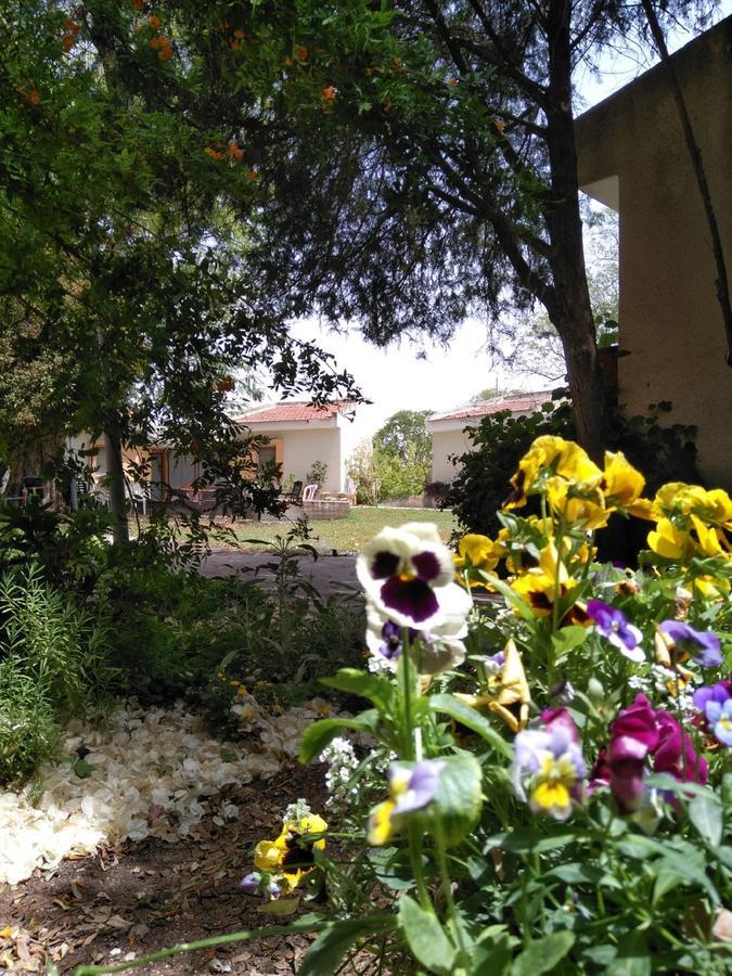 Jordan Valley Birding Lodge Kefar Ruppin Dış mekan fotoğraf